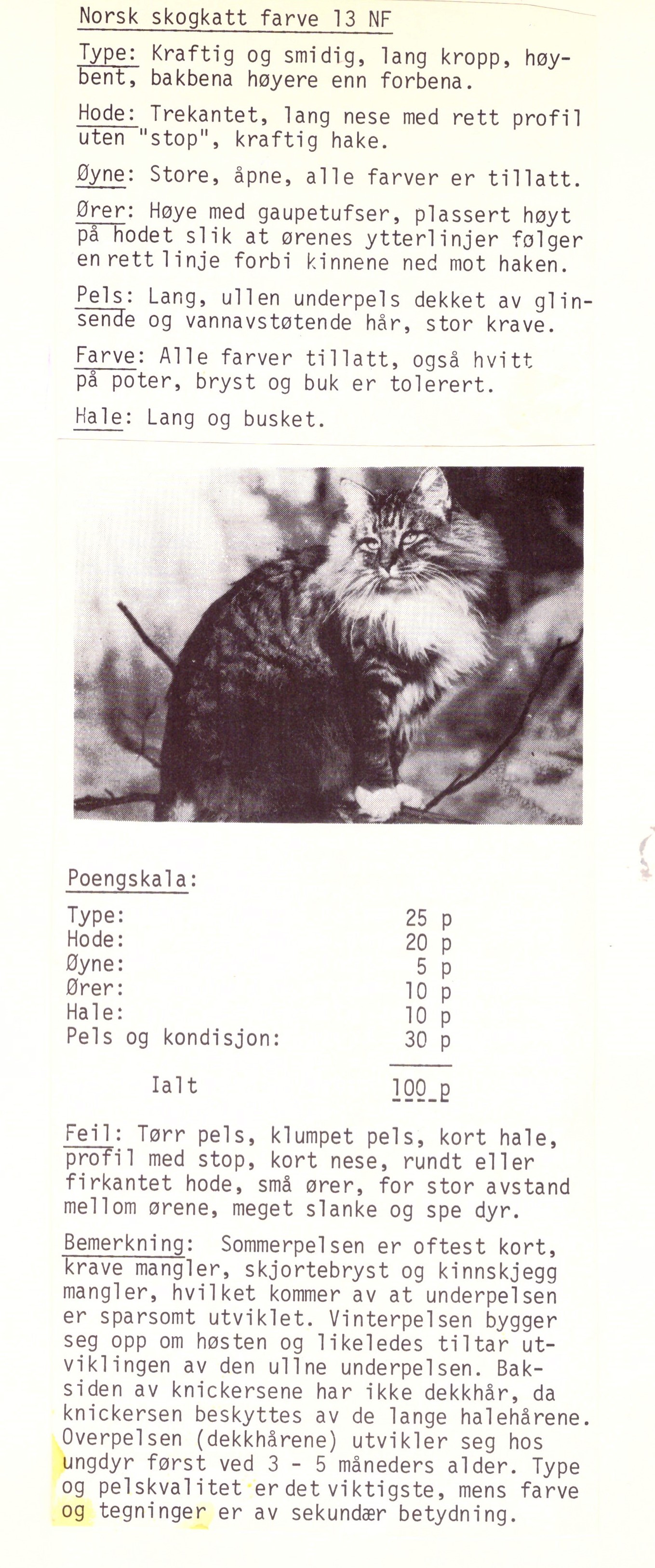Standarden for en Norsk Skovkat 1977