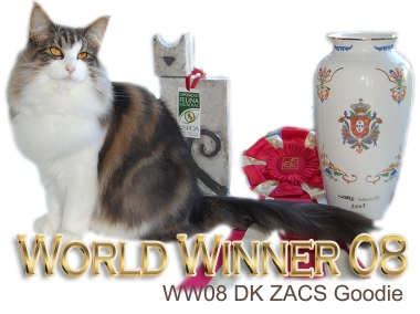 #2 WW08 IP DK Zacs Goodie. Ejer: Susan og Camilla Zindel. Points 633